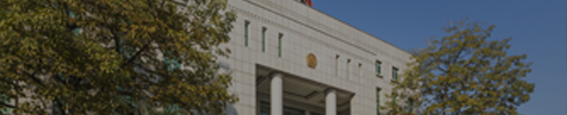 bifa必发科技